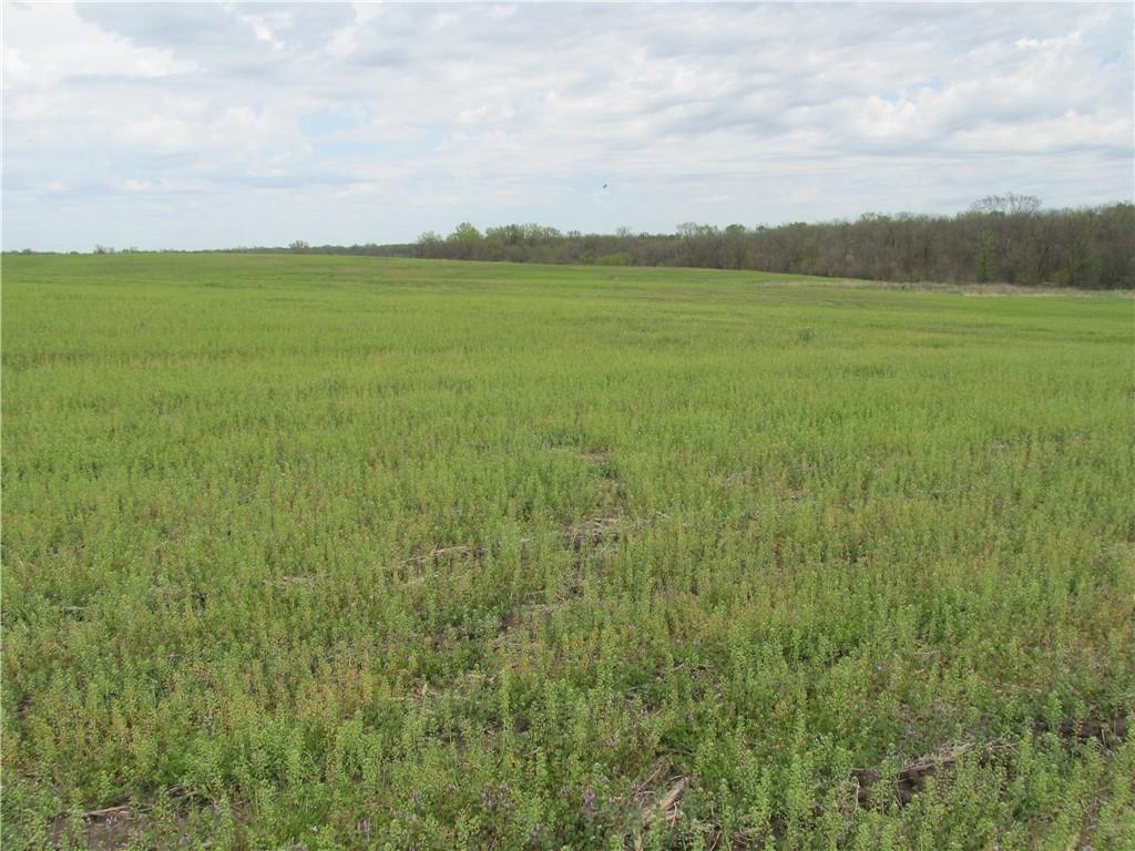 Ne Hinchey Lane Property Photo 18