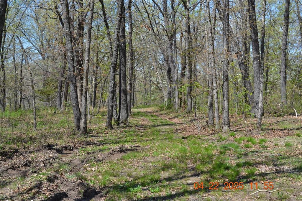 999 Other Missouri Area Real Estate Listings Main Image