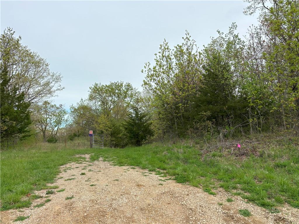 Desoto Avenue Property Photo 2