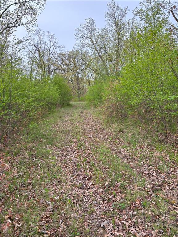 Desoto Avenue Property Photo 4