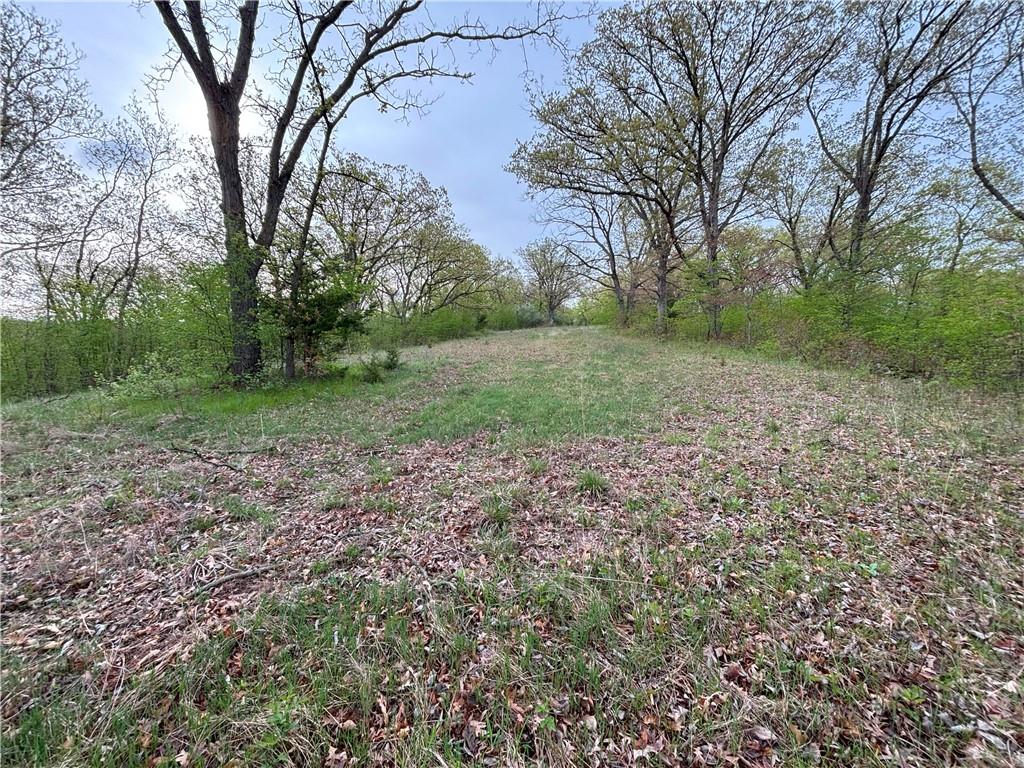 Desoto Avenue Property Photo 6