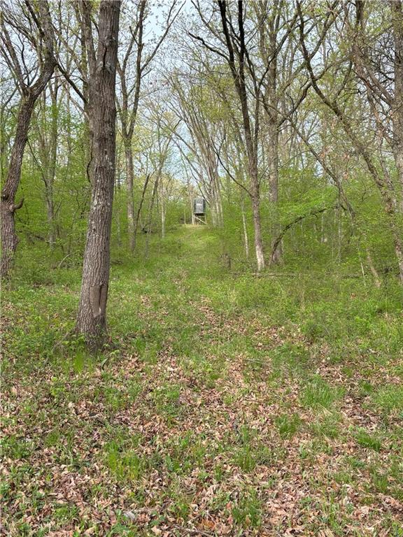 Desoto Avenue Property Photo 7