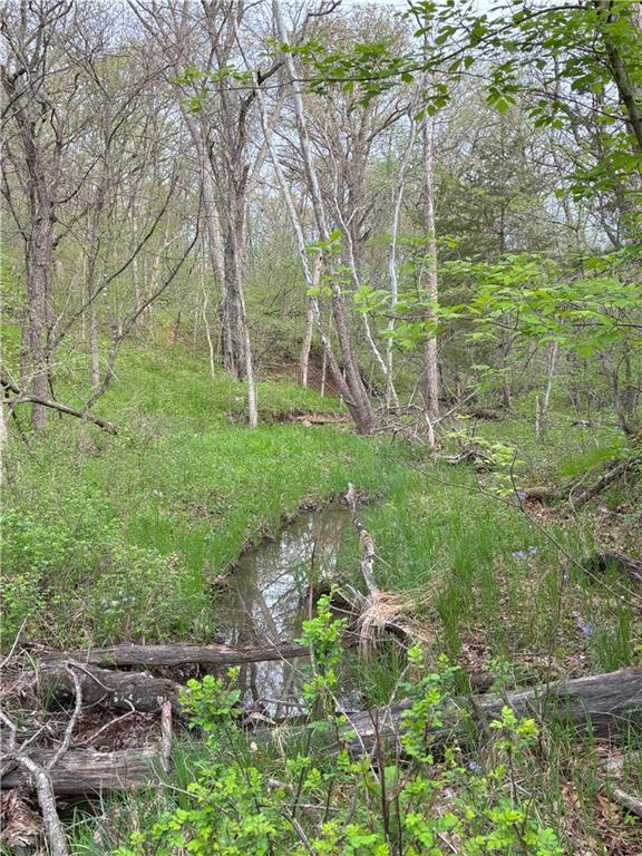 Desoto Avenue Property Photo 8
