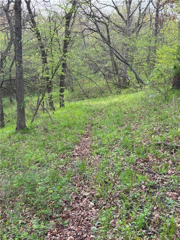 Desoto Avenue Property Photo 12