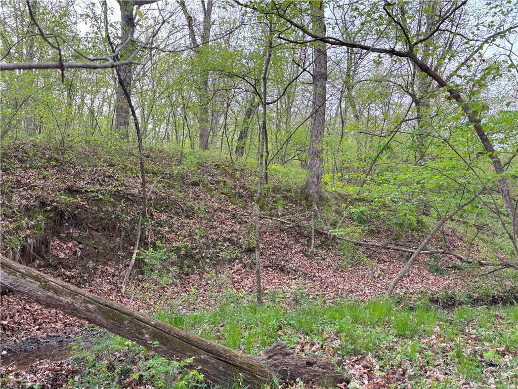 Desoto Avenue Property Photo 14