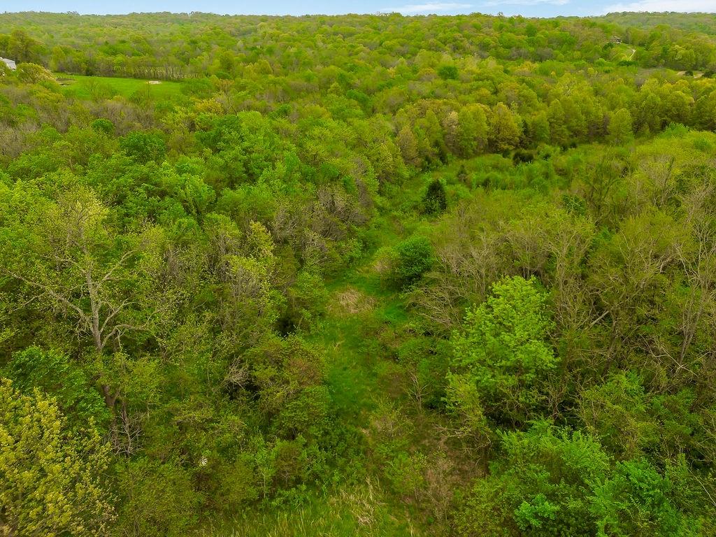 Conservation Road Property Photo 9