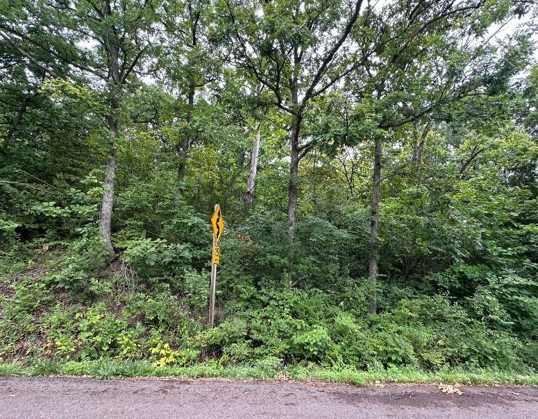 0000 Michals Road Property Photo