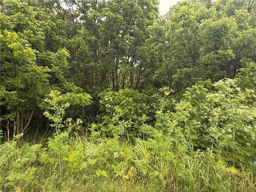 Lot 9 Vining Drive