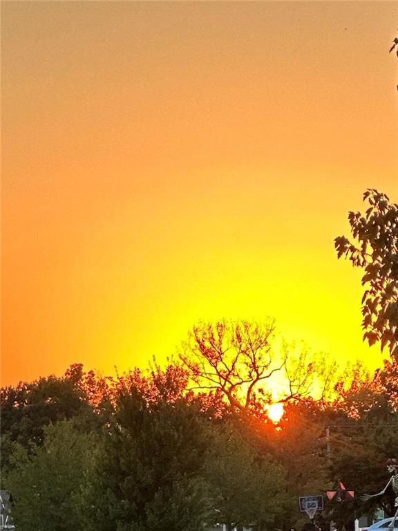 8924 Paw Paw Drive Property Photo 39