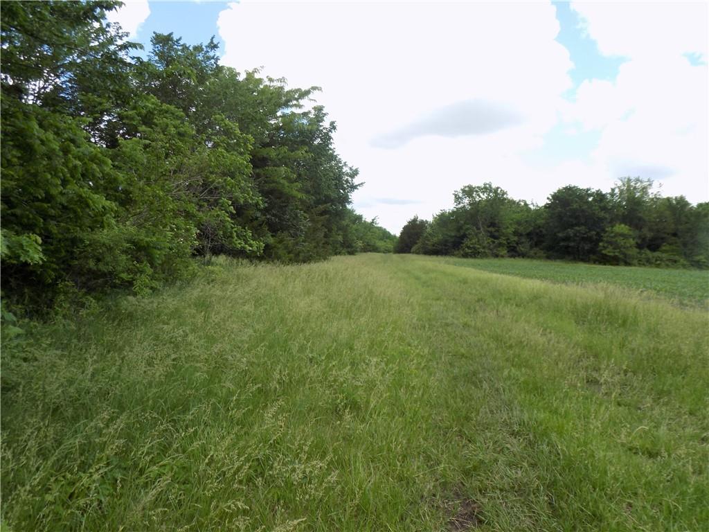 1500 Rd & Ne Texas Road Property Photo 4