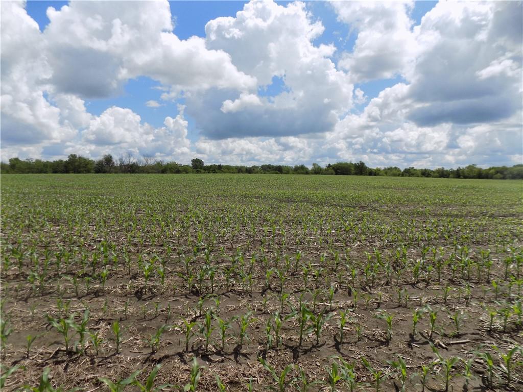 1500 Rd & Ne Texas Road Property Photo 6