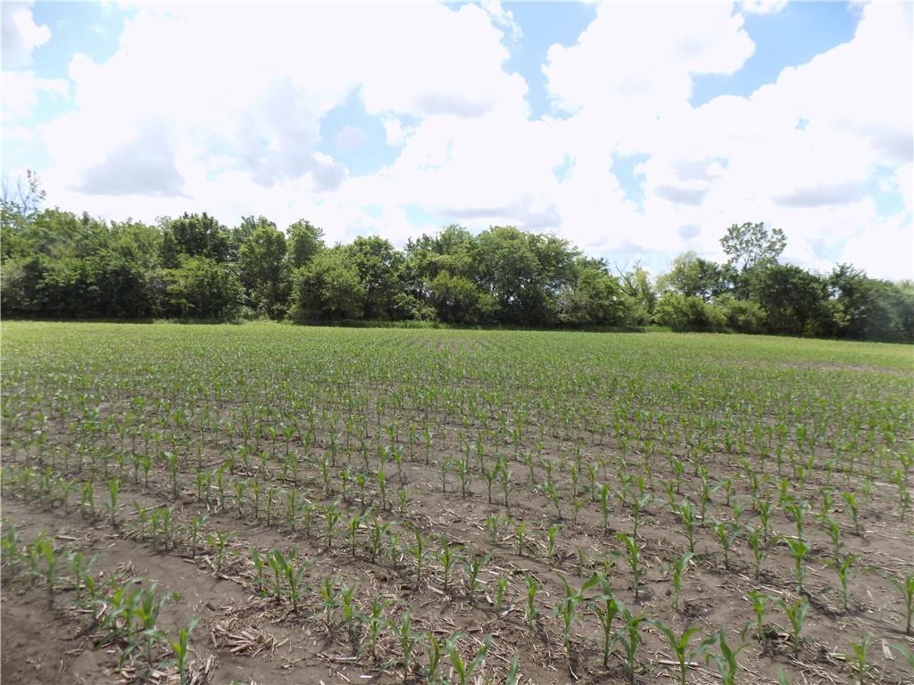 1500 Rd & Ne Texas Road Property Photo 8