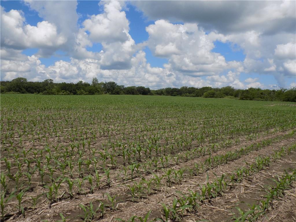 1500 Rd & Ne Texas Road Property Photo 16