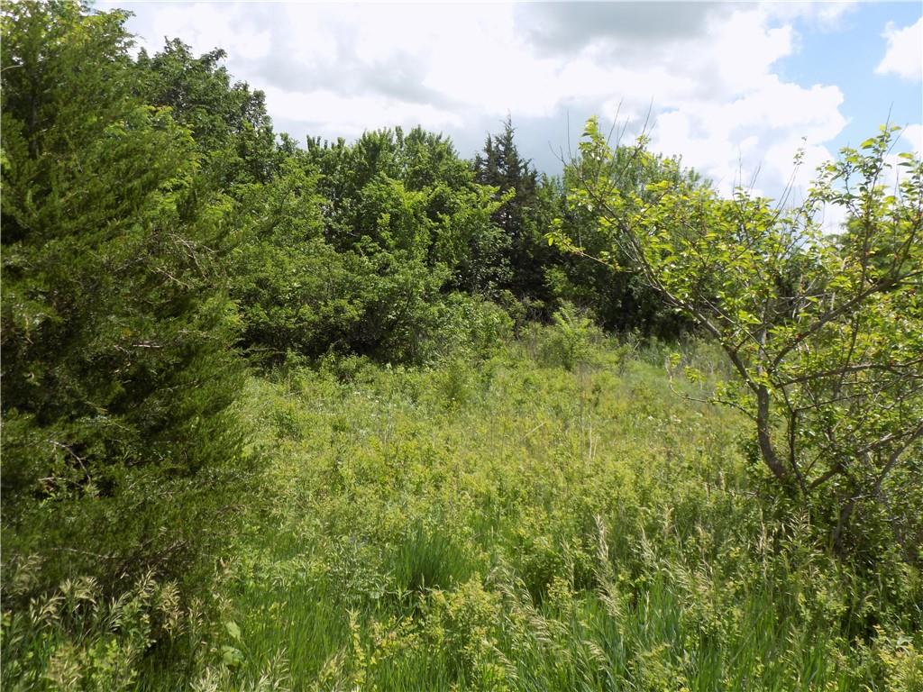 1500 Rd & Ne Texas Road Property Photo 19