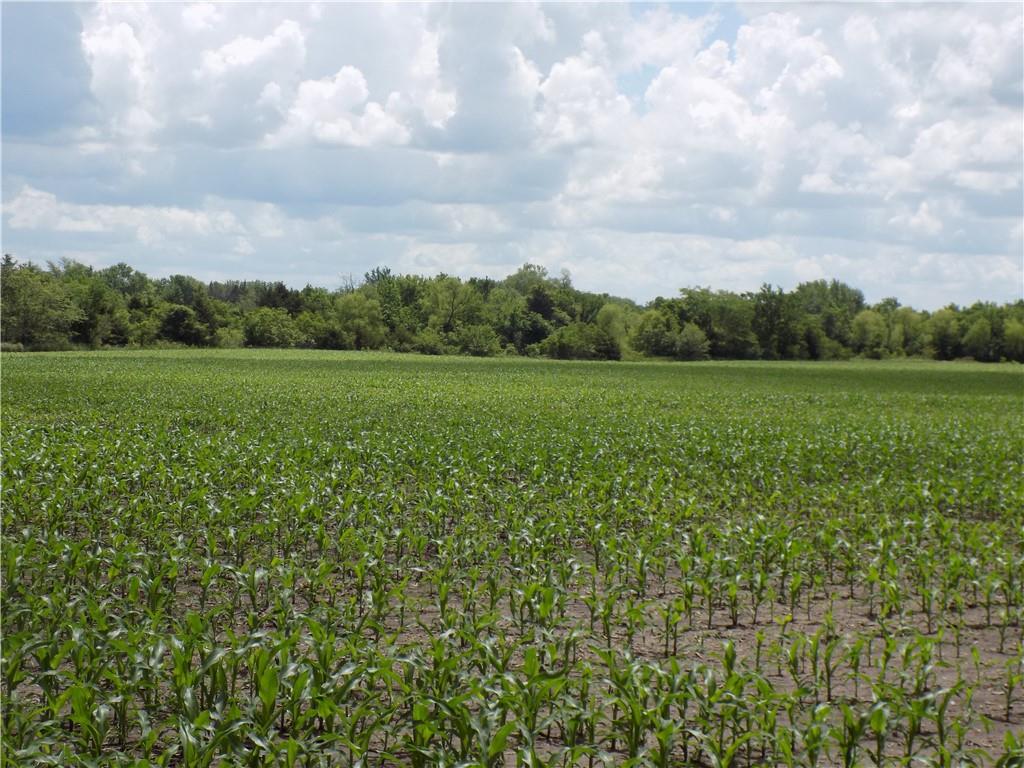1500 Rd & Ne Texas Road Property Photo 22