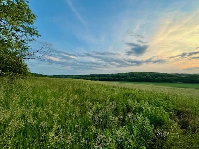 10.01 Acres M/l N 800 Road Property Photo