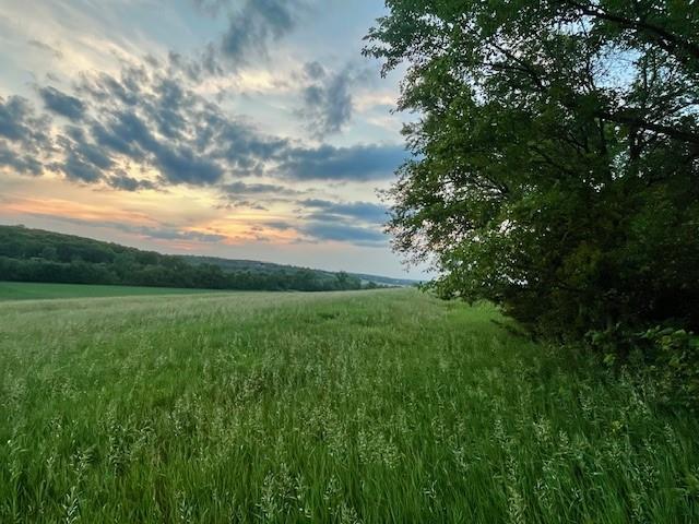 10.01 Acres M/l E 1100 Road Property Photo