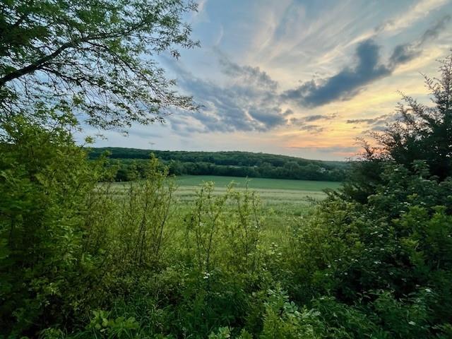 10.01 Acres M/l E 1100 Road Property Photo 6