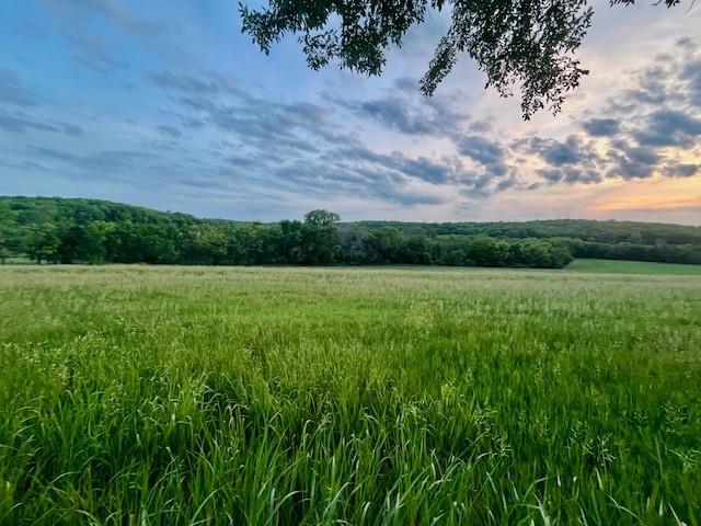 10.01 Acres M/l E 1100 Road Property Photo 7