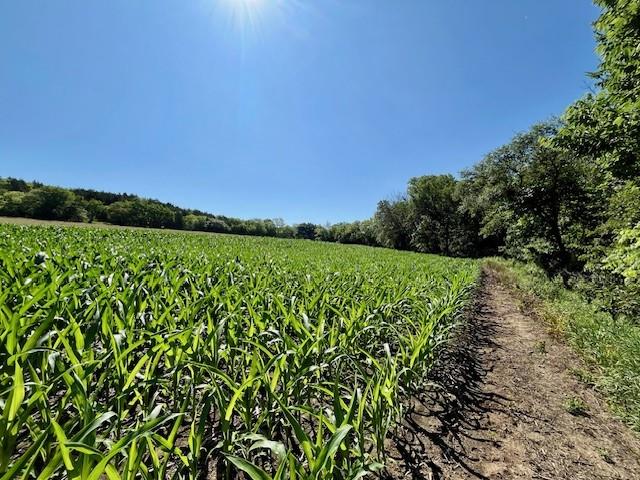 10.01 Acres M/l E 1100 Road Property Photo 9