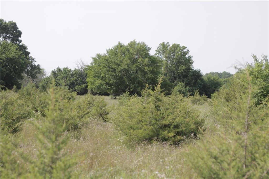 000 Highway 39 Highway Property Photo 54