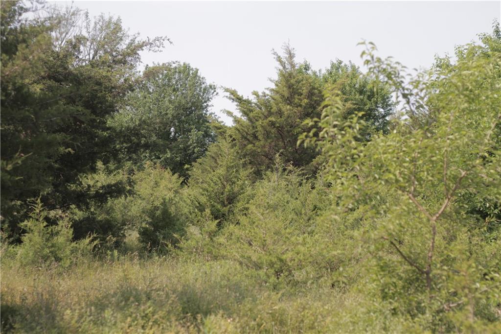 000 Highway 39 Highway Property Photo 59