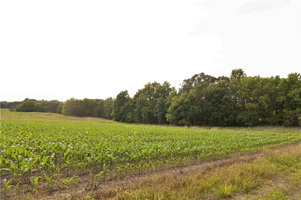 Liv 514 Road Property Photo 41