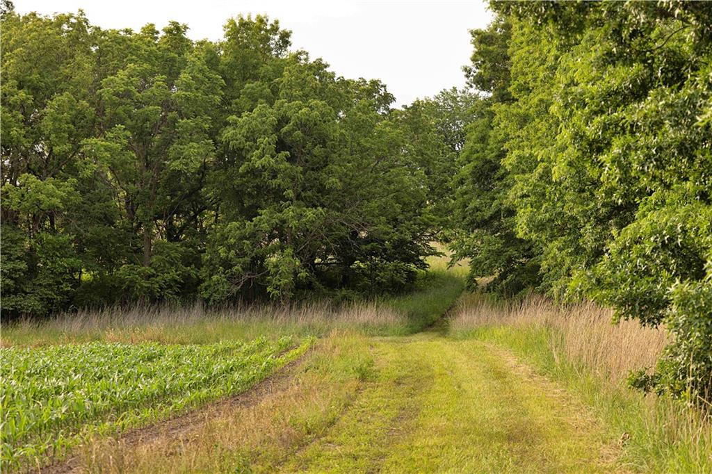 Liv 514 Road Property Photo 42