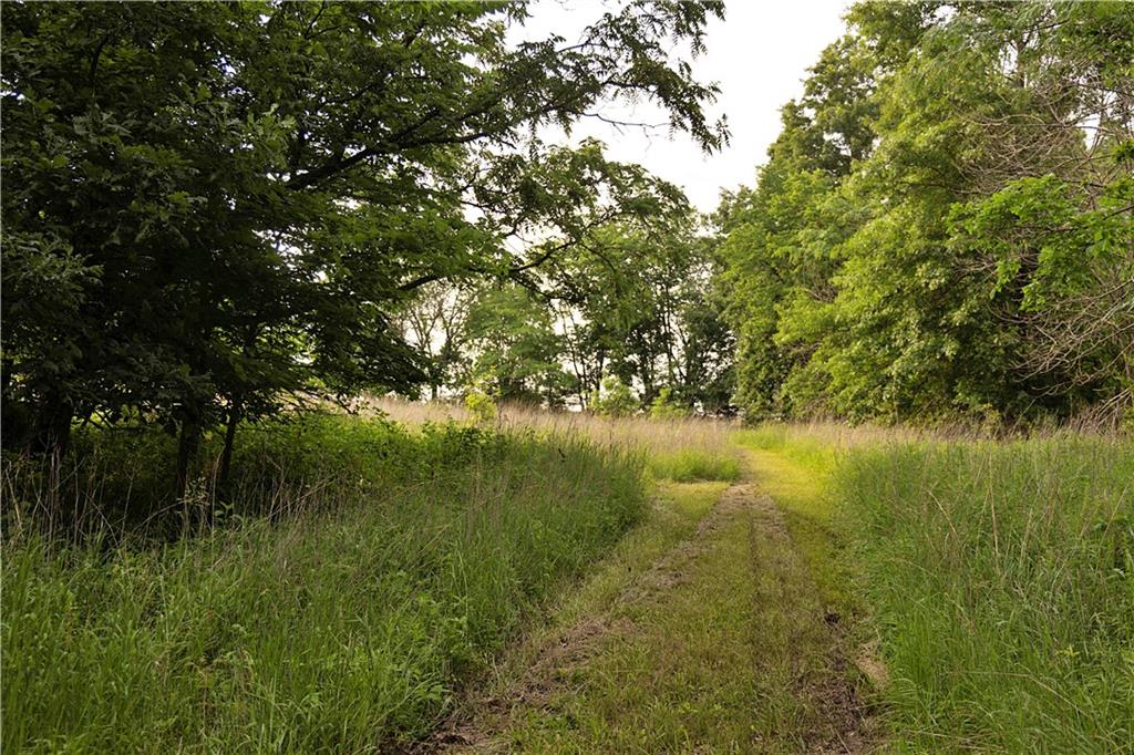 Liv 514 Road Property Photo 44