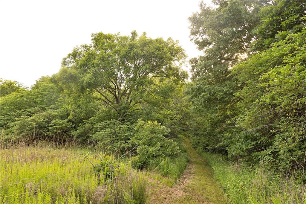 Liv 514 Road Property Photo 47