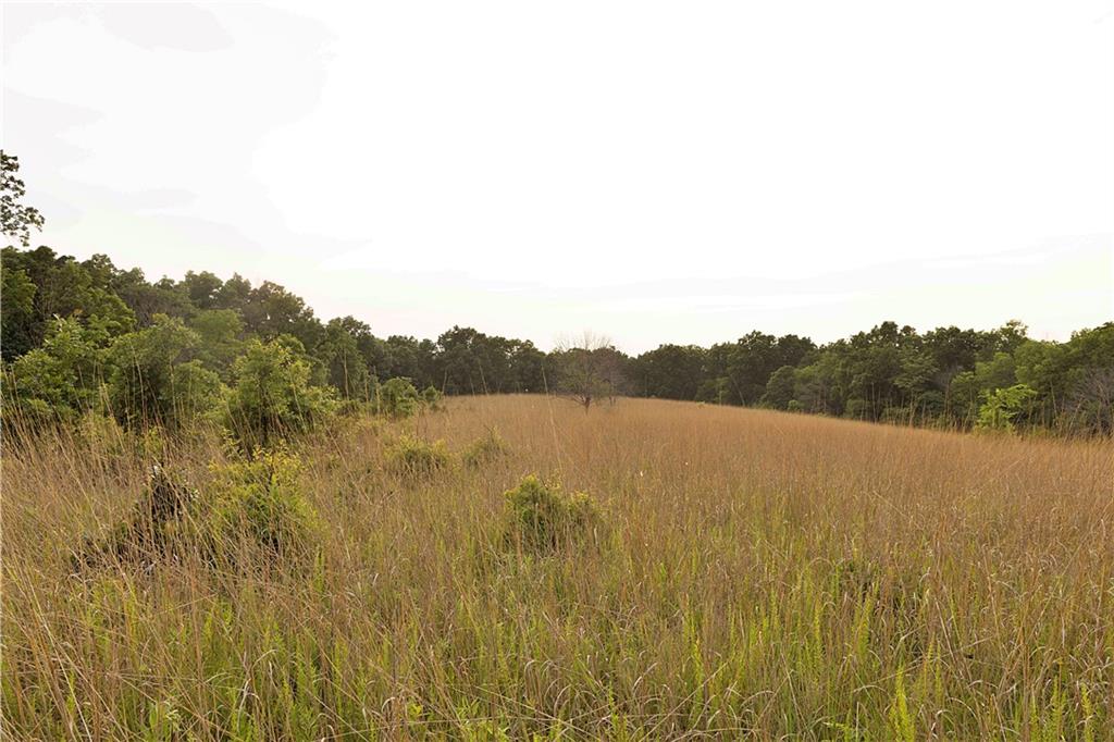 Liv 514 Road Property Photo 50