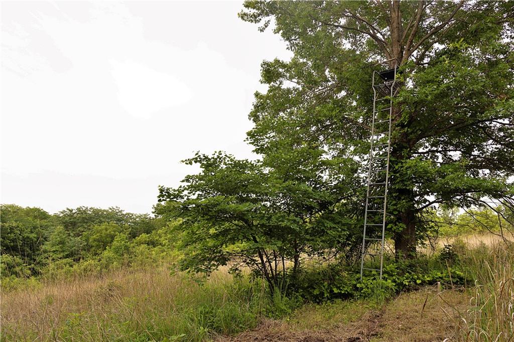 Liv 514 Road Property Photo 51
