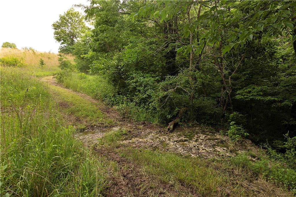 Liv 514 Road Property Photo 53
