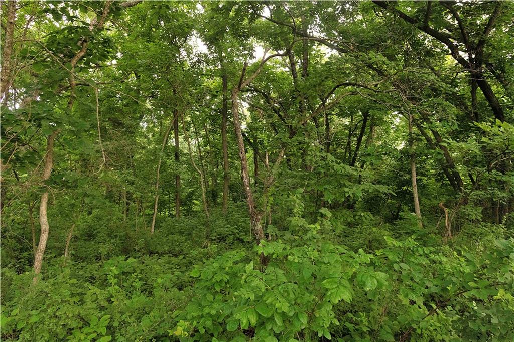 Liv 514 Road Property Photo 57