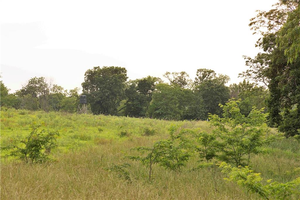 Liv 514 Road Property Photo 61