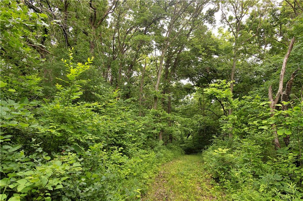 Liv 514 Road Property Photo 62