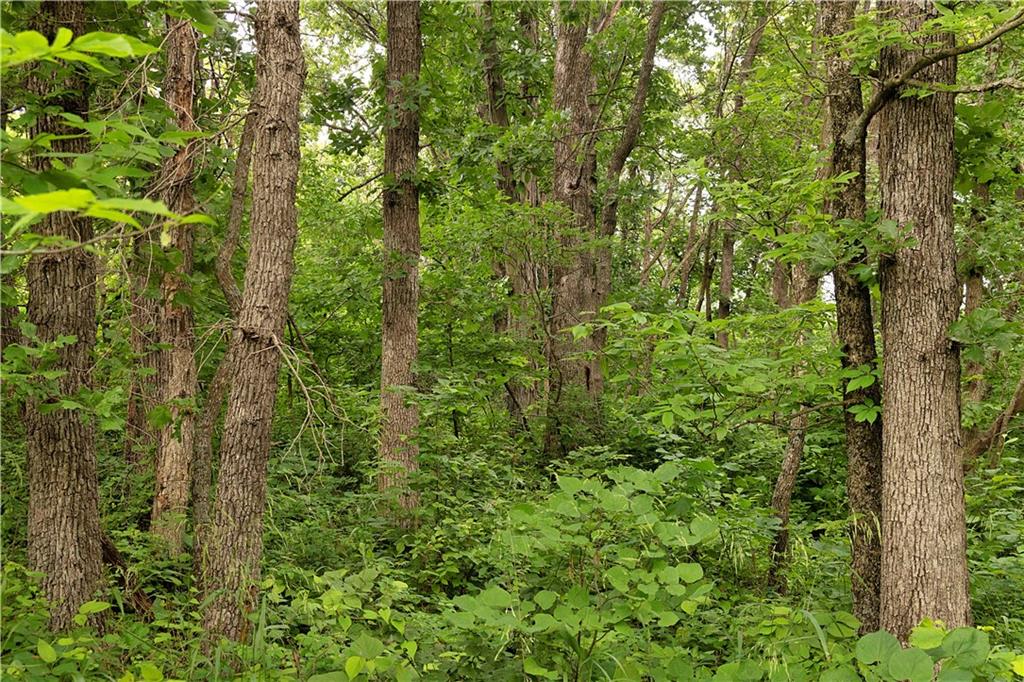 Liv 514 Road Property Photo 63
