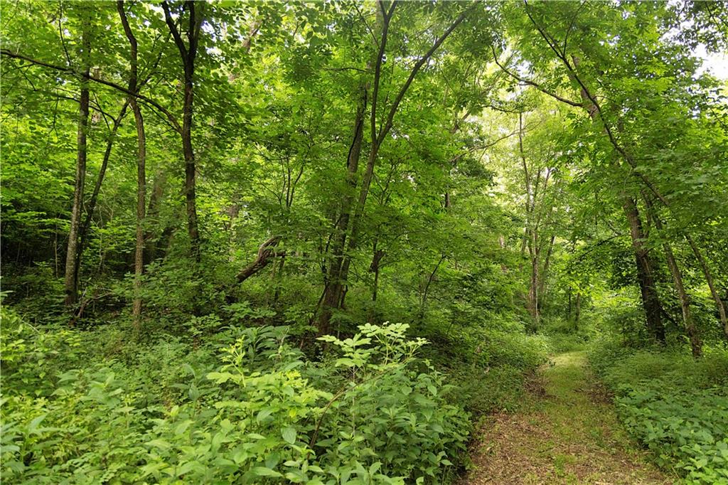 Liv 514 Road Property Photo 66