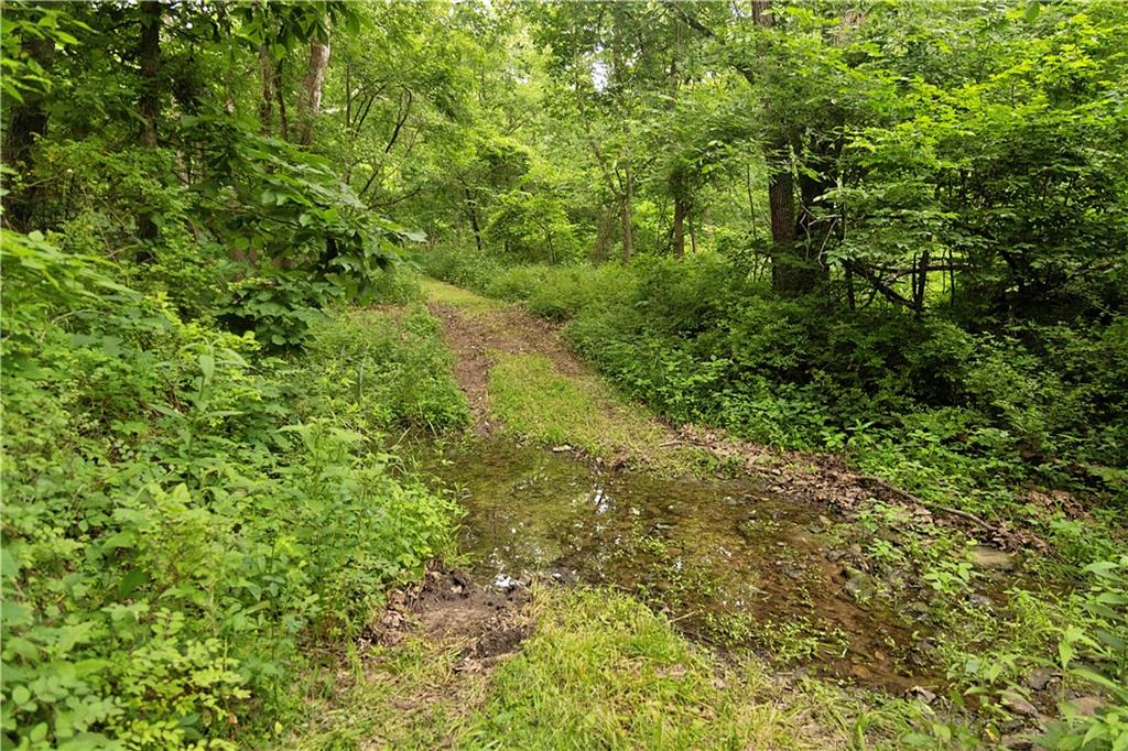 Liv 514 Road Property Photo 67