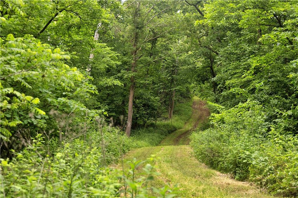 Liv 514 Road Property Photo 69