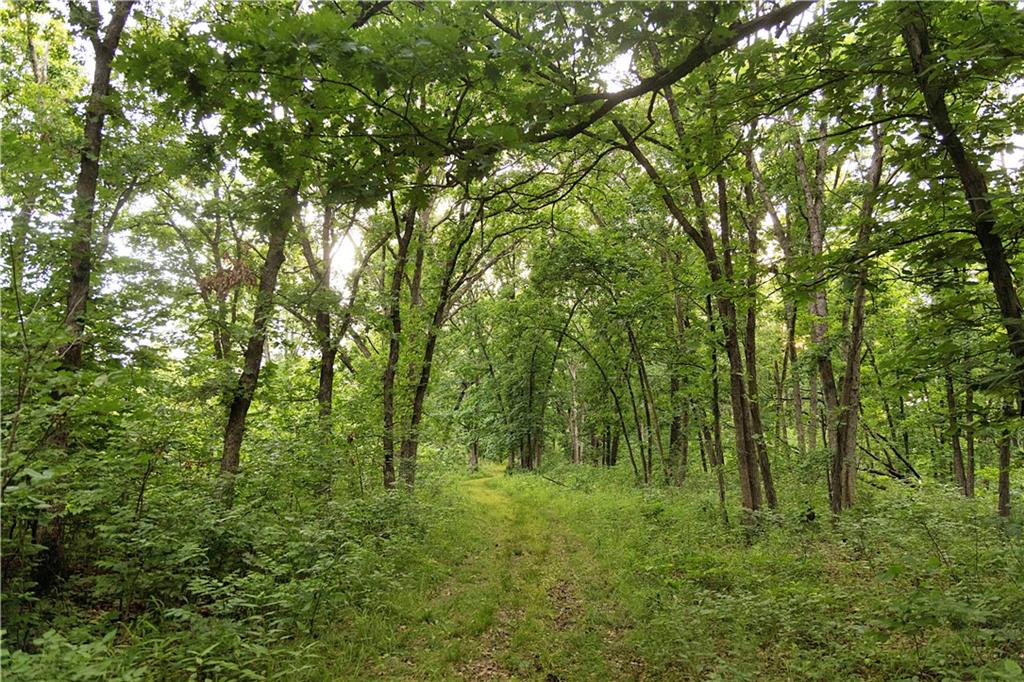 Liv 514 Road Property Photo 73