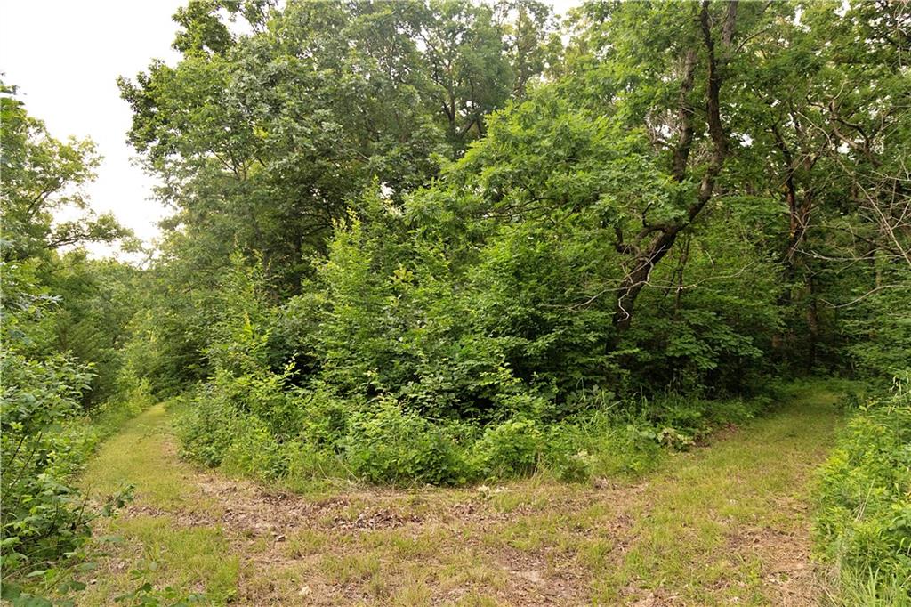 Liv 514 Road Property Photo 76