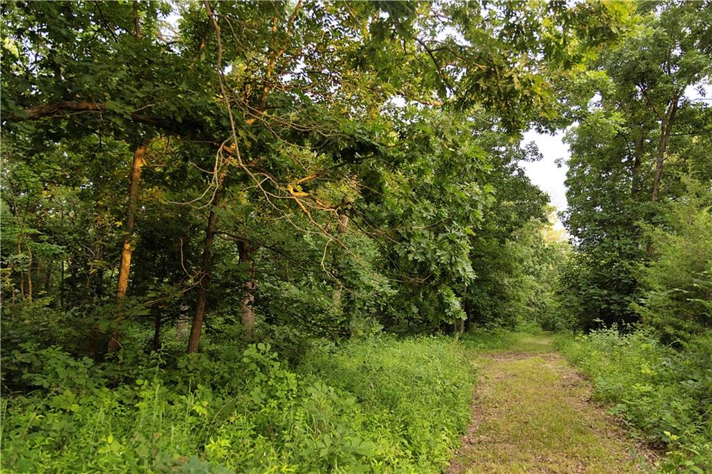 Liv 514 Road Property Photo 77