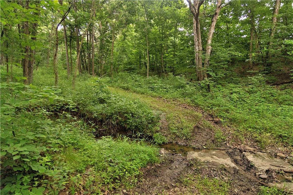 Liv 514 Road Property Photo 79