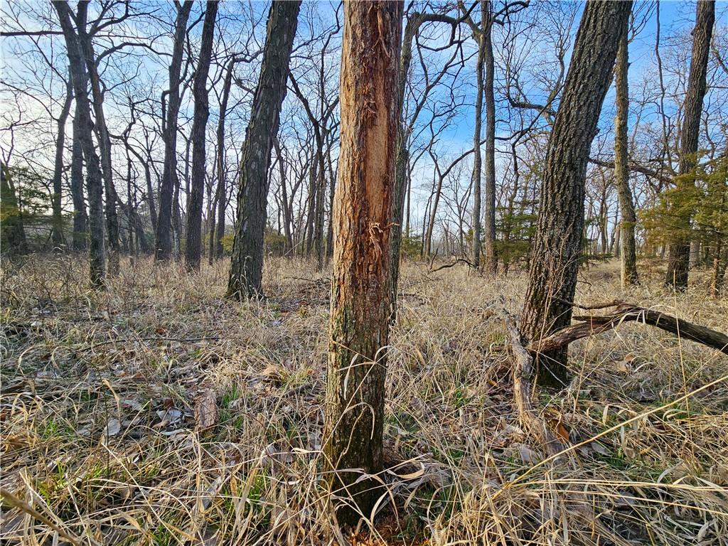 2359 Gp Road Property Photo 61