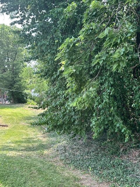 2114 Belleview Avenue Property Photo 6