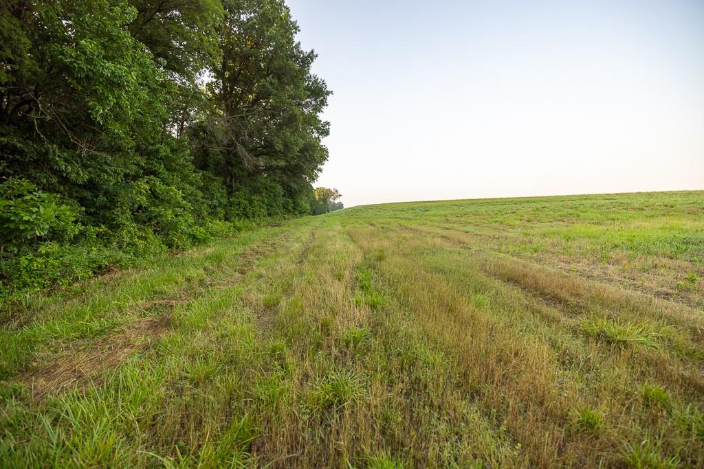 Tract 3 Se 1050th Road Property Photo 31