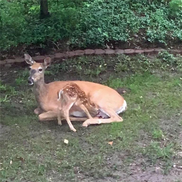 5420 Nw Foxhill Road Property Photo 48