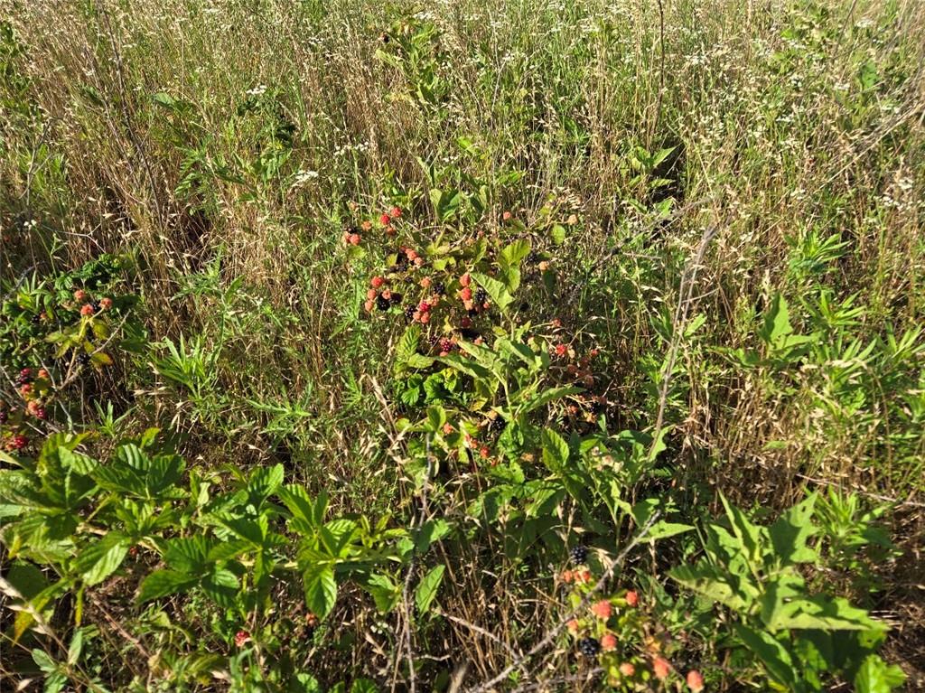 0000 Cr 5100 N/a Property Photo 19