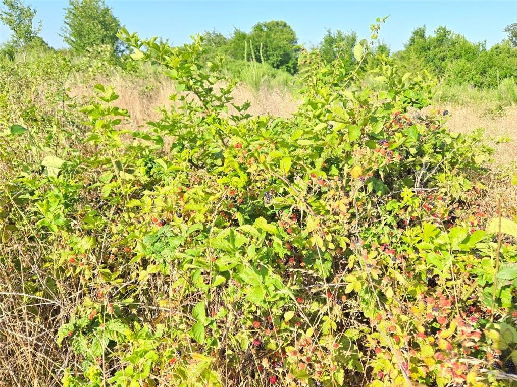 0000 Cr 5100 N/a Property Photo 20